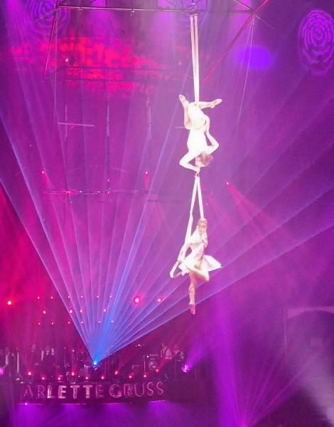 Animation de deux trapézistes lors d'un cocktail professionnel sur le thème cirque au Cirque Arlette Gruss, par Lecointe Stories en Normandie